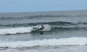pro1  